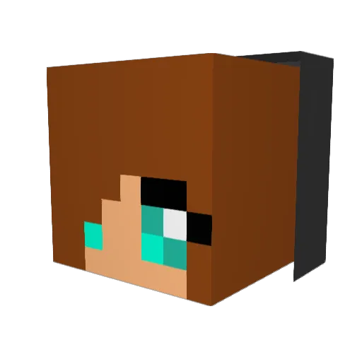 Machine288 Minecraft avatar head, 3D render