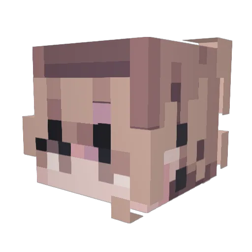 Maci0075 Minecraft avatar head, 3D render