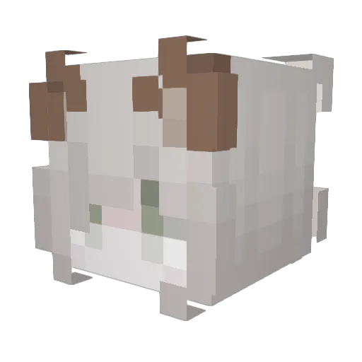 Macie_Moo Minecraft avatar head, 3D render