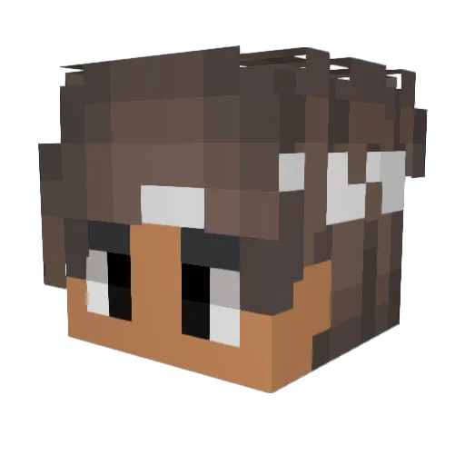 Maciek2200 Minecraft avatar head, 3D render