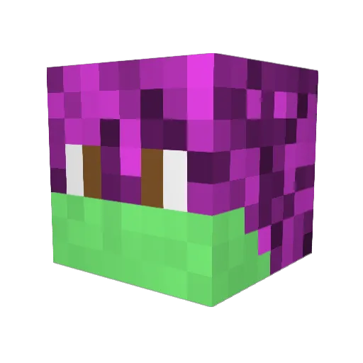 Maciek2234 Minecraft avatar head, 3D render