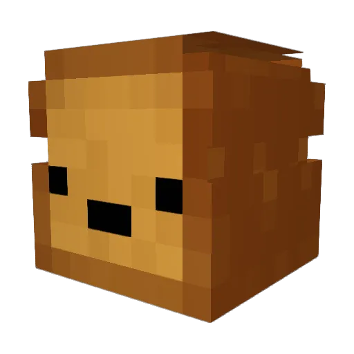 MaciekSki Minecraft avatar head, 3D render