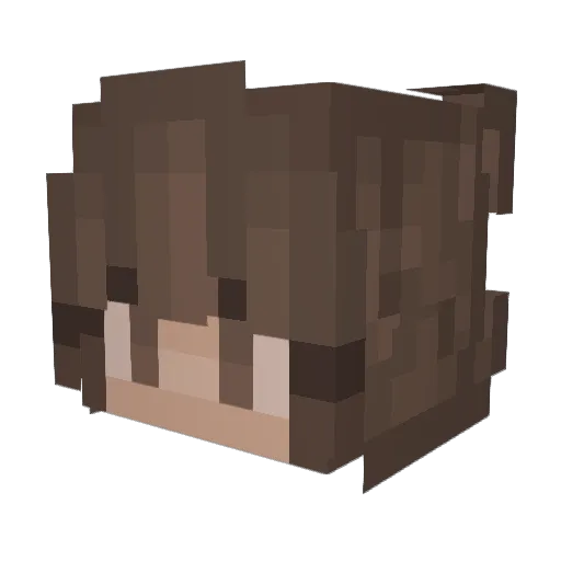 Mackin14 Minecraft avatar head, 3D render