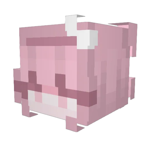 Mackiyy Minecraft avatar head, 3D render