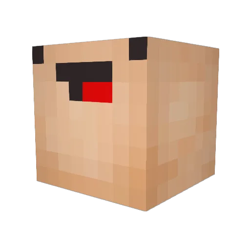 MacleodKids Minecraft avatar head, 3D render