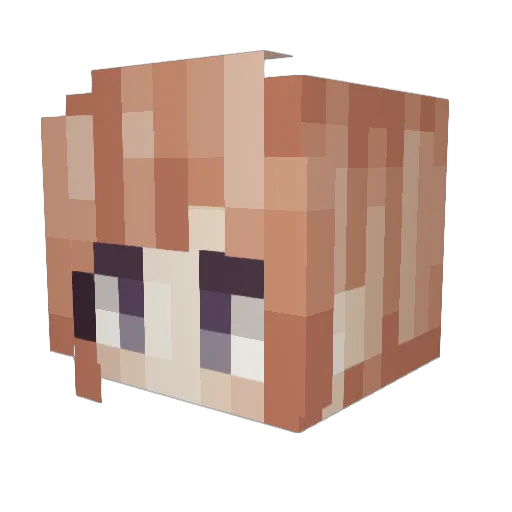 Macrochip Minecraft avatar head, 3D render