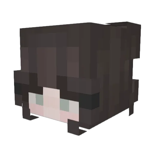 MacrosOnCW Minecraft avatar head, 3D render