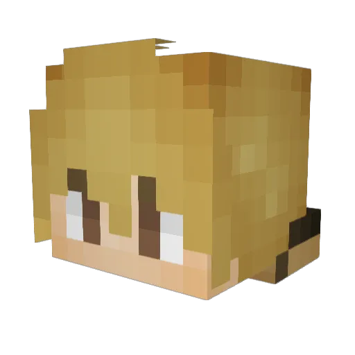 Macten079 Minecraft avatar head, 3D render