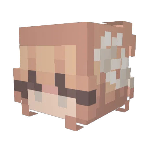 Macy_Rocks Minecraft avatar head, 3D render