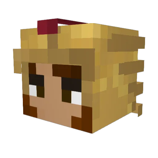 MadCowboysFan Minecraft avatar head, 3D render