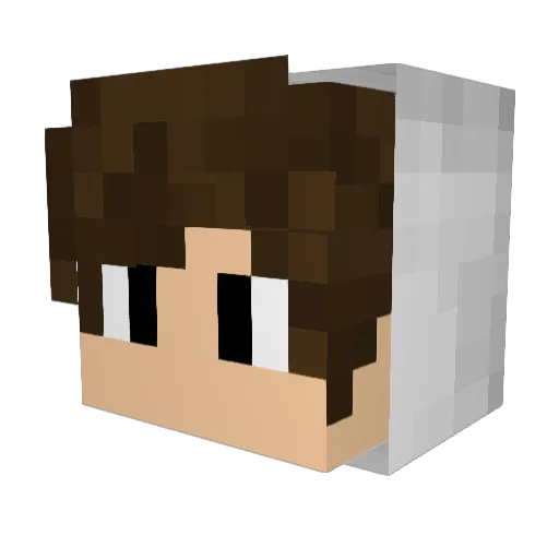 MadDog222 Minecraft avatar head, 3D render