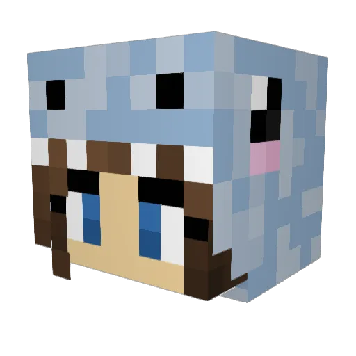 MadDog2922 Minecraft avatar head, 3D render