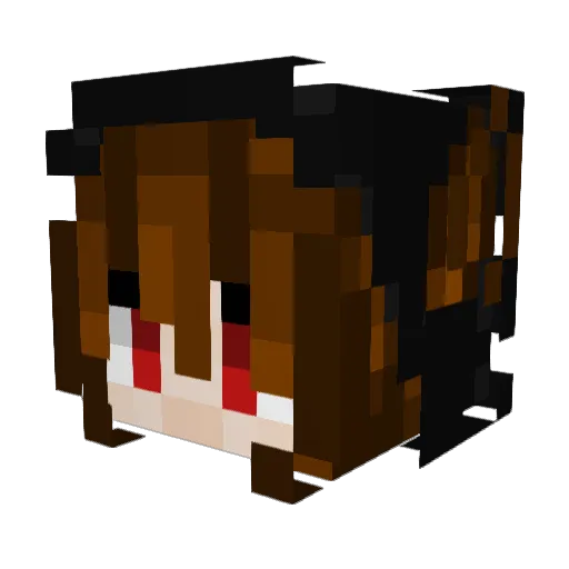 MadDog565 Minecraft avatar head, 3D render