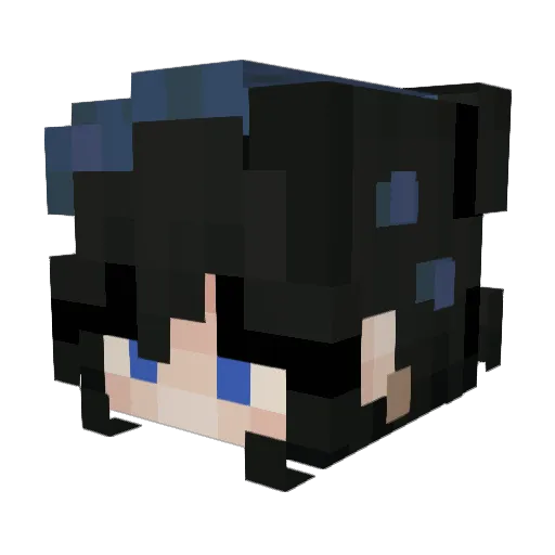 MadDoggo Minecraft avatar head, 3D render