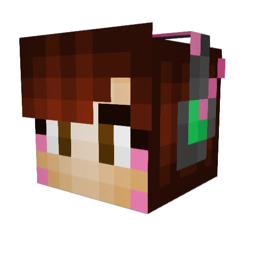 MadEnvy Minecraft avatar head, 3D render