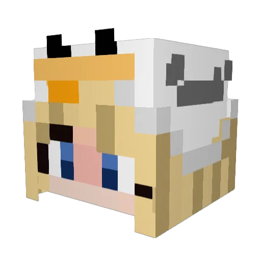 MadGoose125 Minecraft avatar head, 3D render