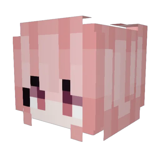 MadHatter0223 Minecraft avatar head, 3D render