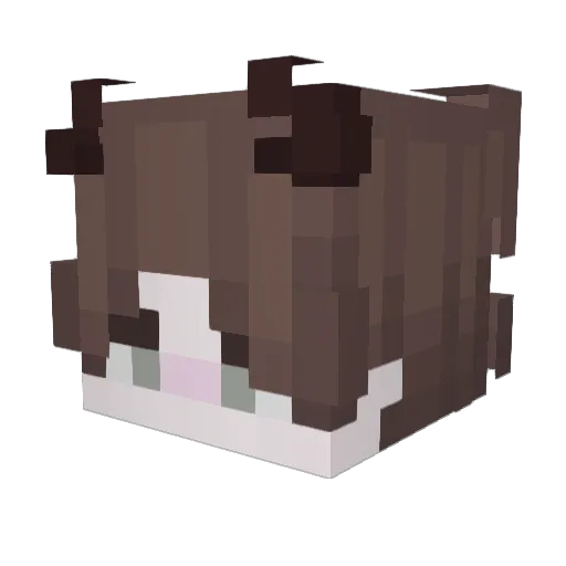 MadMaks2020 Minecraft avatar head, 3D render