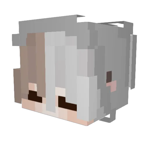 MadMax040604 Minecraft avatar head, 3D render
