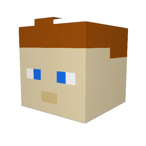 MadMichael5000 Minecraft avatar head, 3D render