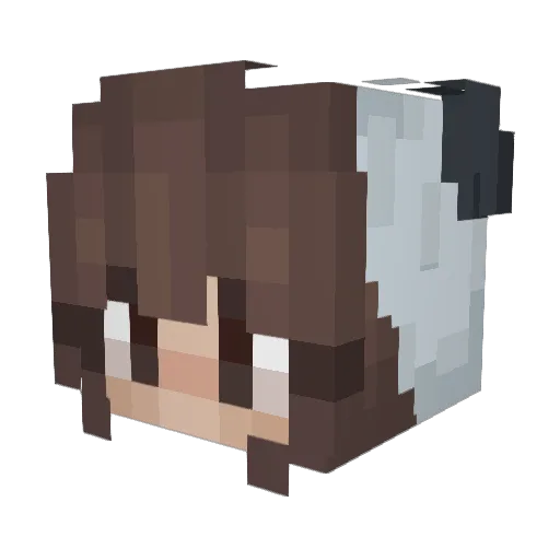 MadQuins Minecraft avatar head, 3D render
