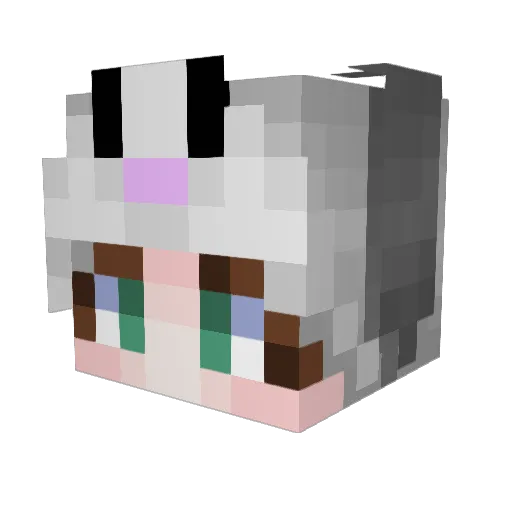 MadRicsi Minecraft avatar head, 3D render