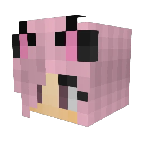 Mad_Nik Minecraft avatar head, 3D render