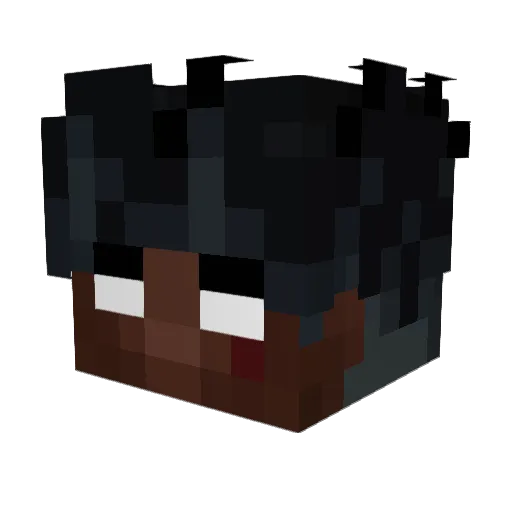 Madagascar1 Minecraft avatar head, 3D render