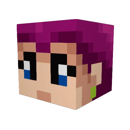 Madam_Oatmeal Minecraft avatar head, 3D render
