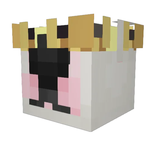 Madamadam Minecraft avatar head, 3D render