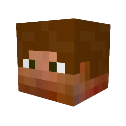 MadameStardust Minecraft avatar head, 3D render