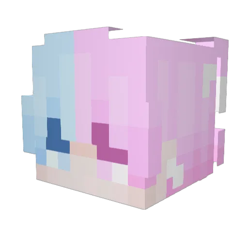 Madattak11 Minecraft avatar head, 3D render