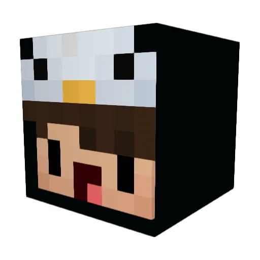 MaddMax999 Minecraft avatar head, 3D render