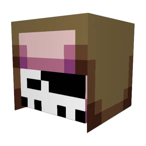 Madd_Ladd127 Minecraft avatar head, 3D render