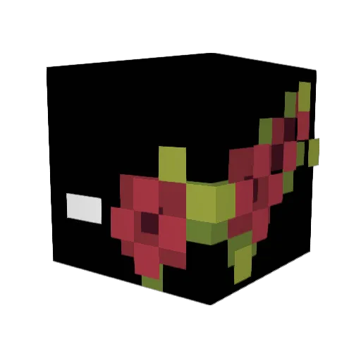 Madd_Shenqi Minecraft avatar head, 3D render