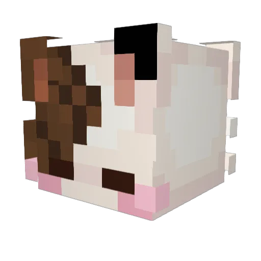 Maddie12356 Minecraft avatar head, 3D render