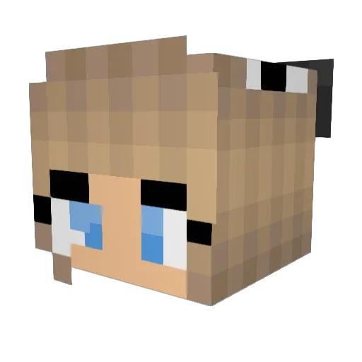 Maddie8138 Minecraft avatar head, 3D render
