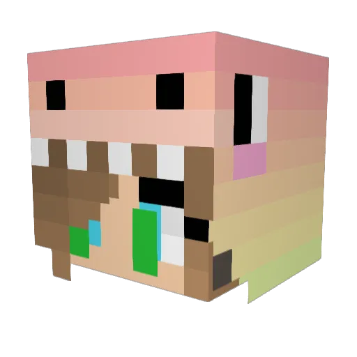 Maddielulu2002 Minecraft avatar head, 3D render