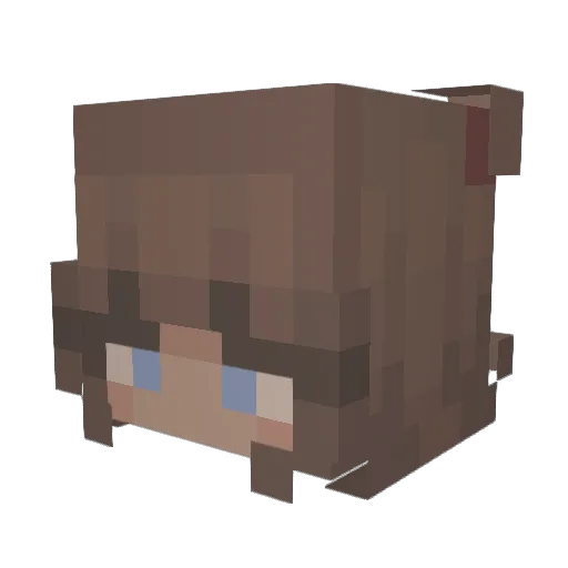 Maddog957 Minecraft avatar head, 3D render