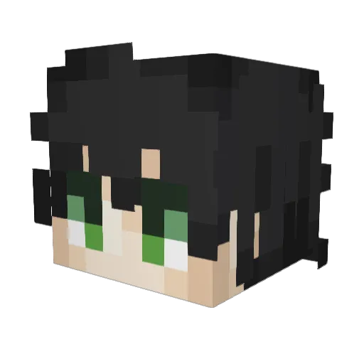 MaddoxDN Minecraft avatar head, 3D render