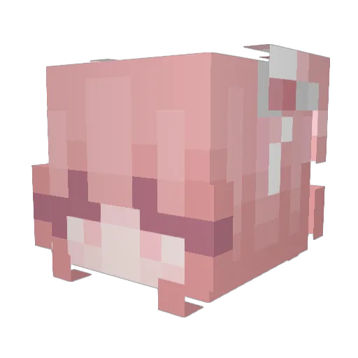 MaddoxNelsas Minecraft avatar head, 3D render