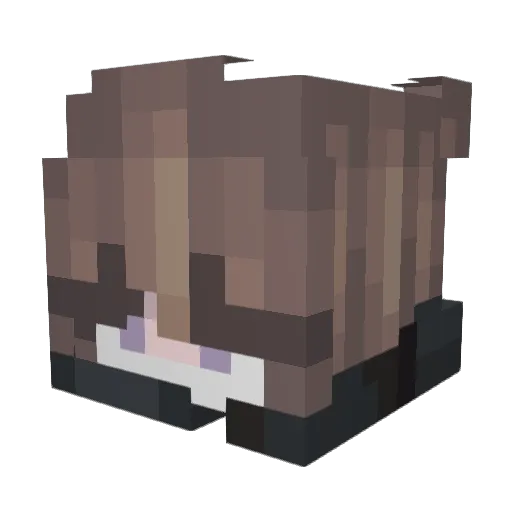 Maddy67 Minecraft avatar head, 3D render
