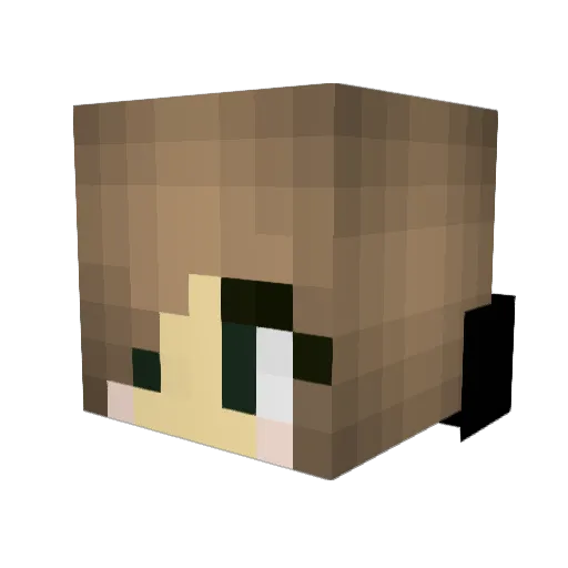 MaddyAndLily Minecraft avatar head, 3D render