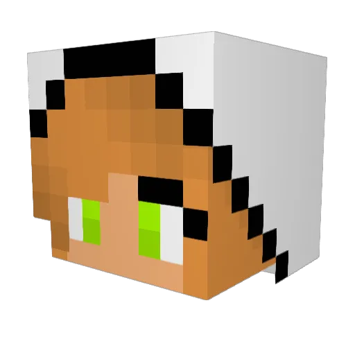 MaddyBrown1809 Minecraft avatar head, 3D render