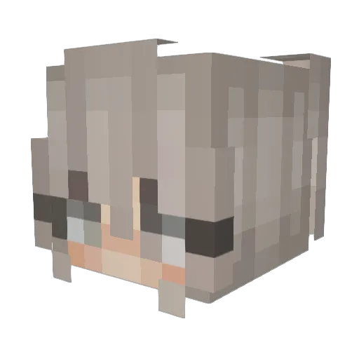 MaddyJune1 Minecraft avatar head, 3D render