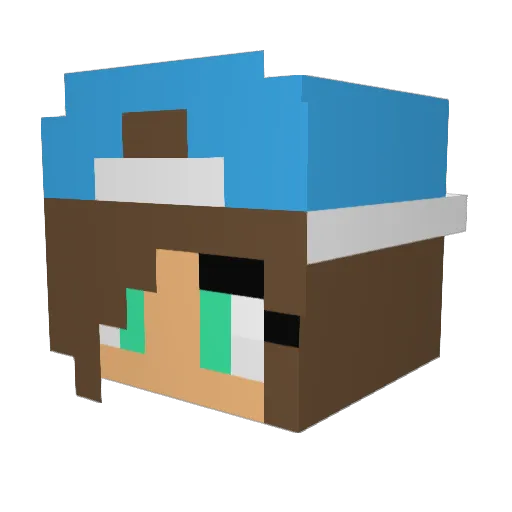 Maddz1221 Minecraft avatar head, 3D render