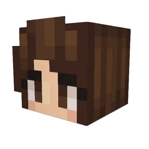Made4chaos Minecraft avatar head, 3D render
