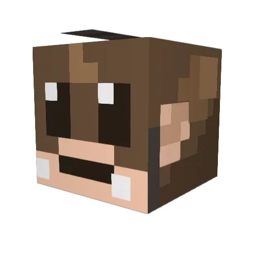 MadeInTaiwan444 Minecraft avatar head, 3D render