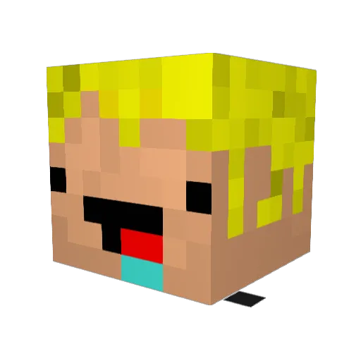 MadeMyBrain Minecraft avatar head, 3D render