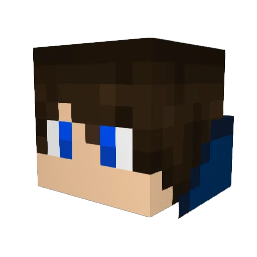 MadeOfNinjas Minecraft avatar head, 3D render